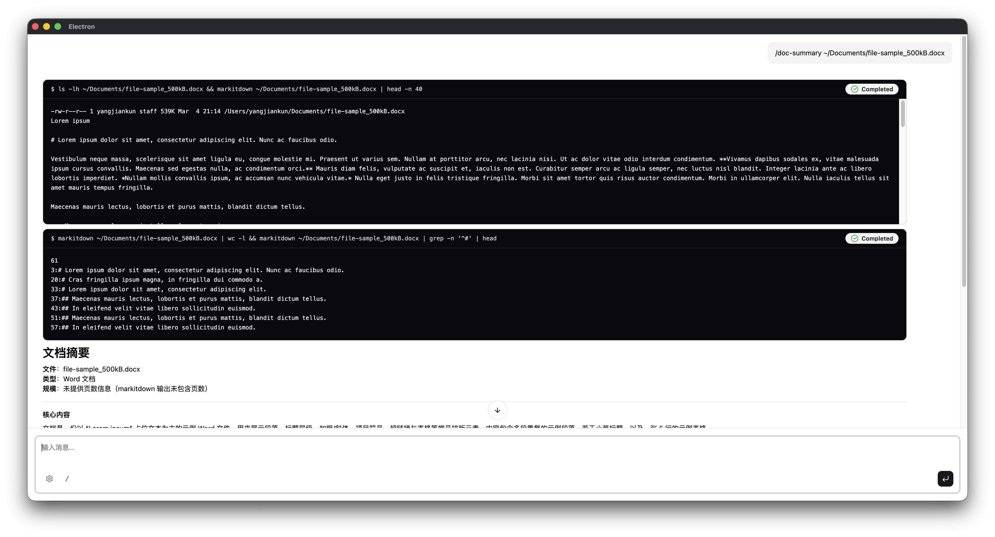 Terminal 卡片展示 markitdown 命令执行过程，下方输出固定格式的文档摘要，包含文件名、类型、核心内容、关键要点等节