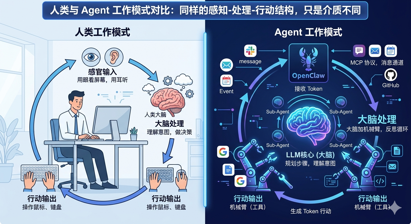 人类工作模式与 Agent 工作模式的对比：同样的感知-处理-行动结构，只是介质不同